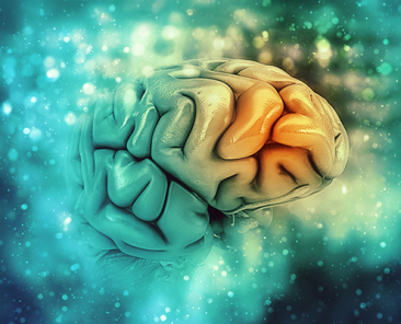 brainrot