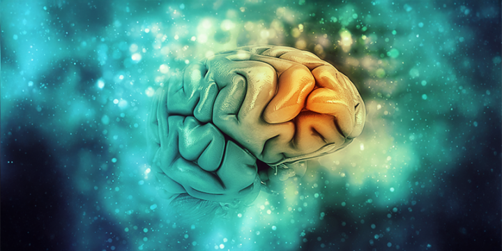 Brain rot je termin koji je izabran kao riječ godine – što to znači ...
